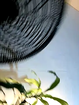 Snapshot of _Miguel100 chatting on November 6, 2:56 am Miguel100 online show from November 6, 2:56 am