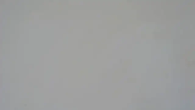 Snapshot of GiseleReine chatting on February 5, 1:33 pm GiseleReine online show from February 5, 1:33 pm