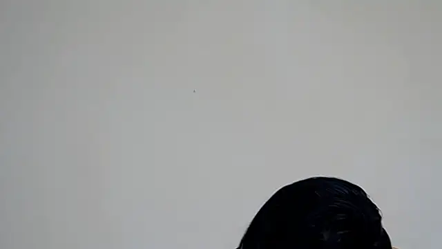 Snapshot of GiseleReine chatting on February 7, 2:04 pm GiseleReine online show from February 7, 2:04 pm