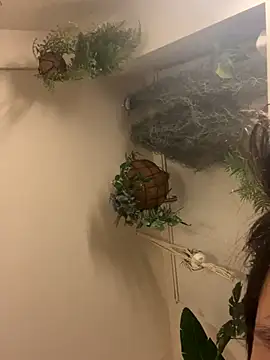 IroManager online show from September 15, 1:44 pm