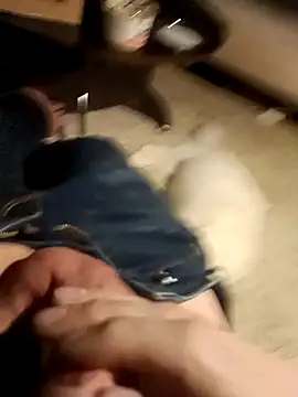 Snapshot of massive_cum chatting on December 28, 7:55 am massive cum online show from December 28, 7:55 am