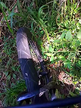 Adee21e online show from November 21, 4:38 pm