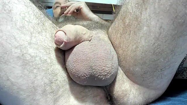 CTPuIITu3 online show from February 4, 3:54 am