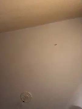 Snapshot of ClatteryPrexy chatting on December 16, 4:27 pm ClatteryPrexy online show from December 16, 4:27 pm