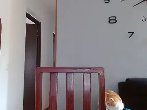 Laura martin  online show from February 5, 1:33 pm