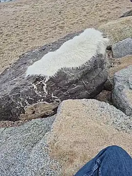 SexyErola27 online show from December 19, 1:29 pm