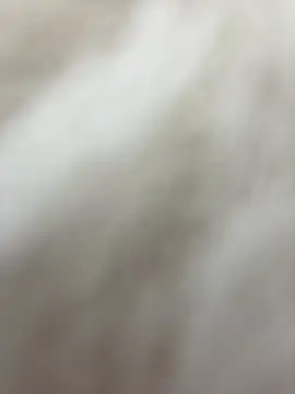 NewLale online show from January 27, 6:30 am