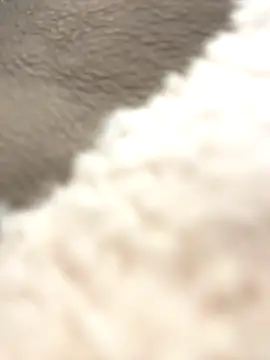 NewLale online show from October 12, 3:38 am