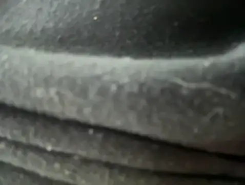 Snapshot of Mila_Morgan chatting on January 30, 12:18 am Mila Morgan online show from January 30, 12:18 am