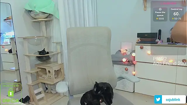 littlemiilk online show from January 13, 8:08 am