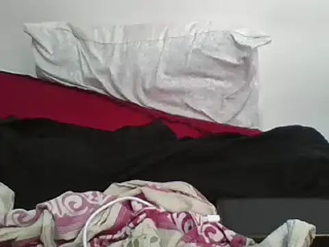 Snapshot of Whimsicalwillow chatting on February 22, 1:13 pm Whimsicalwillow online show from February 22, 1:13 pm