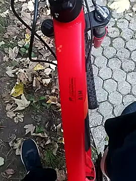 maleesa online show from October 4, 5:16 am