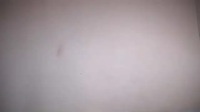 Snapshot of Osiiriis chatting on February 12, 1:06 pm Osiiriis online show from February 12, 1:06 pm