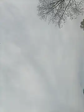 Nkumar173 online show from February 13, 5:26 am