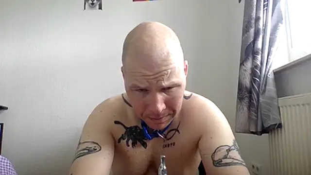 Snapshot of gaywolf426 chatting on May 15, 8:43 am gaywolf426 online show from May 15, 8:43 am