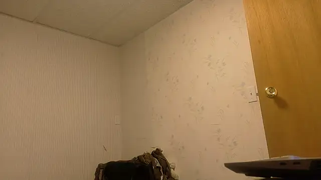 Armyexhibitionistvet online show from April 7, 3:40 am