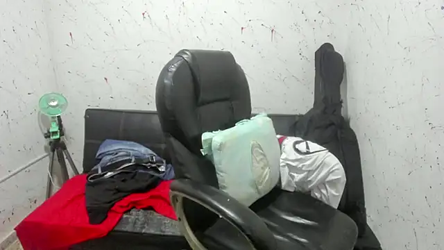  ace ventura online show from April 15, 12:28 am