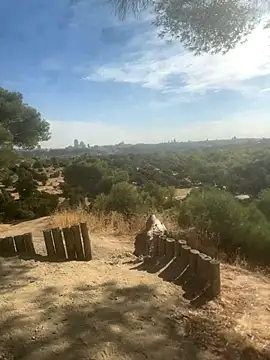 Chofle1 online show from October 8, 9:40 am