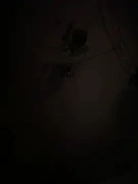 EnricoGio online show from January 15, 1:21 am