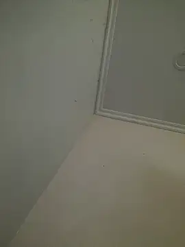 CieloTaylor online show from February 25, 10:25 am