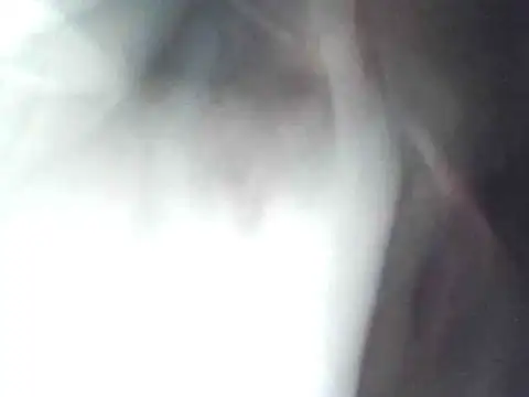 technodotado online show from April 23, 2:13 am