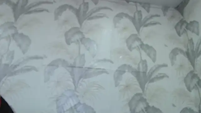 Snapshot of CamDiva113 chatting on February 8, 10:07 am CamDiva113 online show from February 8, 10:07 am