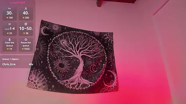 Snapshot of AramJoness chatting on December 31, 9:21 am AramJoness online show from December 31, 9:21 am