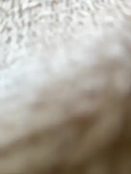 RiriRoseey online show from April 5, 7:49 am