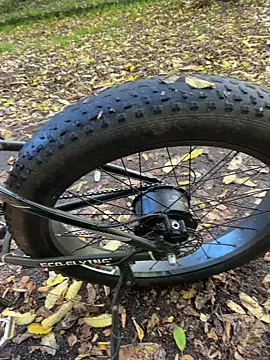 Shyboy817 online show from October 28, 2:20 pm