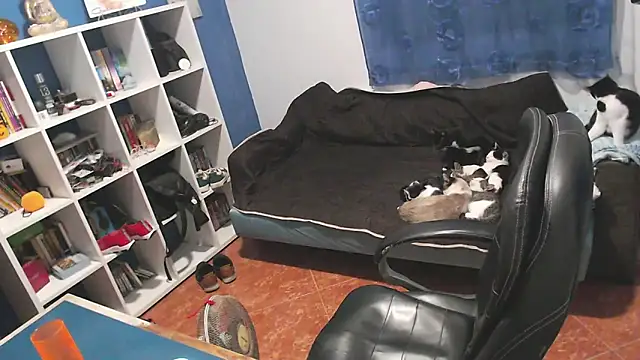 ravingr4d4 online show from November 1, 10:01 pm