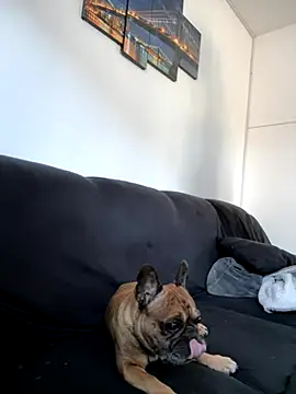 Bastilein1985 online show from October 30, 9:11 am