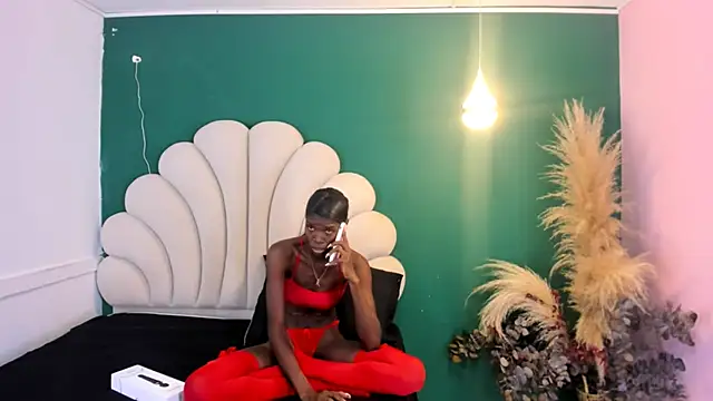 bonieklent online show from January 14, 4:04 am