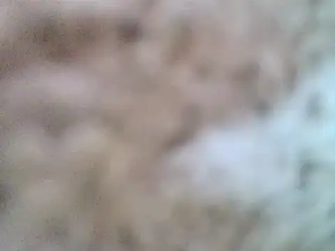 DaddyQuimHot online show from February 9, 12:08 pm