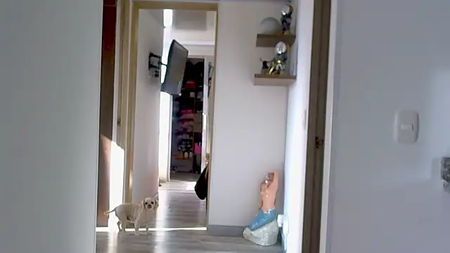 adan eva960 online show from September 9, 12:59 pm