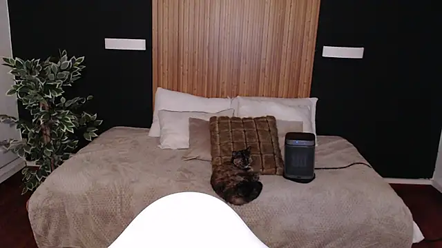 Snapshot of dafne_bss chatting on March 6, 5:03 am dafne bss online show from March 6, 5:03 am