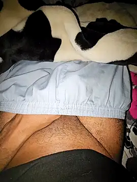 Snapshot of Ali_rz94 chatting on December 13, 10:48 pm Ali rz94 online show from December 13, 10:48 pm