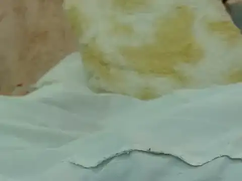 hairy pussywet online show from February 4, 12:40 am