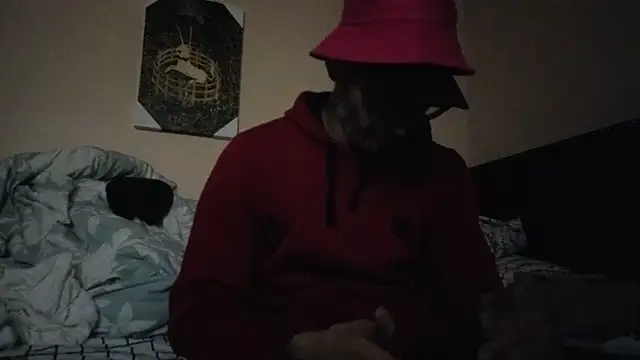 hailzeffn online show from November 7, 10:37 am