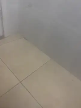 rafahpirusudo online show from March 19, 8:29 am