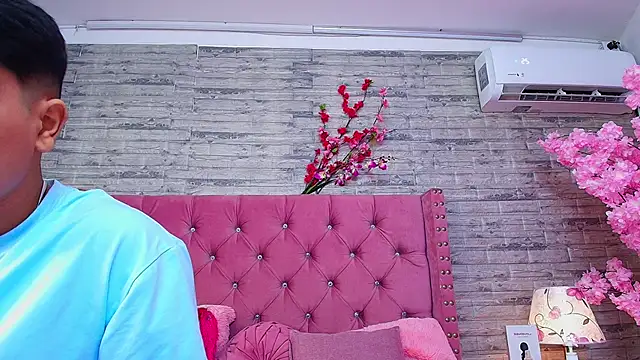 AuroraSim online show from February 24, 1:10 pm