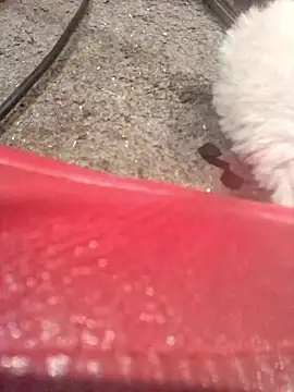 lubme online show from October 7, 8:00 am