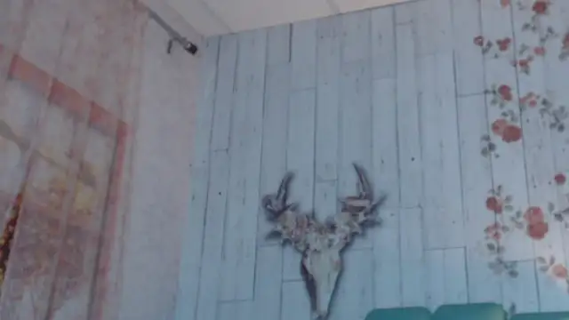 Alison Simmons online show from February 5, 11:44 am