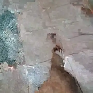 jockey2051992 online show from April 13, 2:50 am