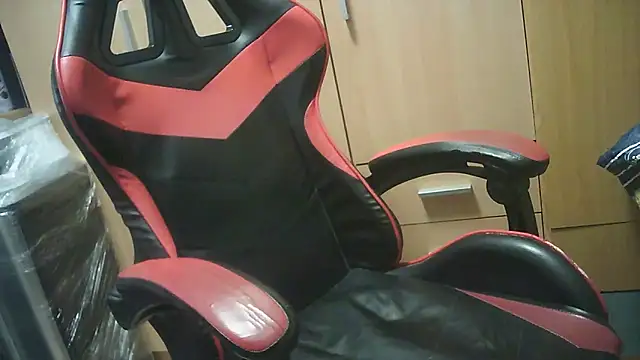 Javier bear online show from October 17, 8:06 am