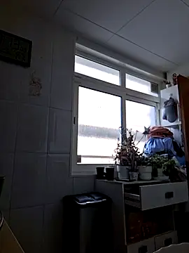 Javier bear online show from November 22, 10:14 am