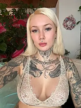 Snapshot of Stella-Kink chatting on December 14, 12:33 pm Stella-Kink online show from December 14, 12:33 pm