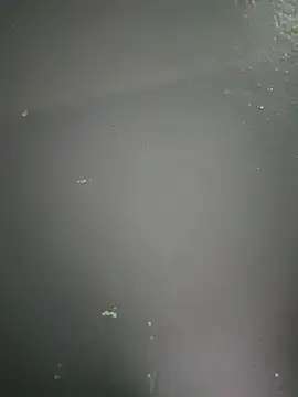 Snapshot of kamasutra20 chatting on December 19, 1:01 am kamasutra20 online show from December 19, 1:01 am