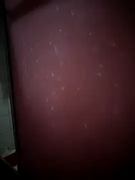 Snapshot of kamasutra20 chatting on December 21, 12:07 am kamasutra20 online show from December 21, 12:07 am