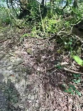 FreezingTie850 online show from April 26, 9:51 am