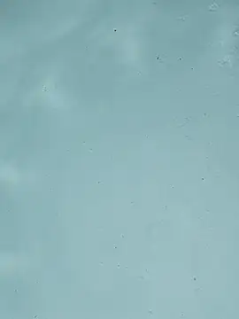 Snapshot of BigAssKi chatting on October 4, 6:55 am BigAssKi online show from October 4, 6:55 am